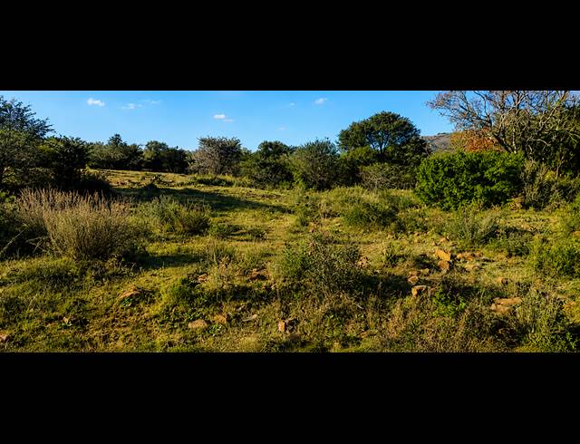 14.80HA FARM FOR SALE IN BLESBOKLAAGTE
